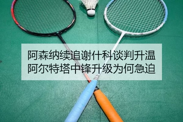 阿森纳续追谢什科谈判升温 阿尔特塔中锋升级为何急迫