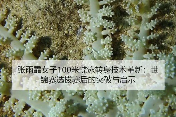 zhang-yu-fei-nv-zi-mi-die-yong-zhuan-shen-ji-shu-ge-xin-shi-jin-sai-xuan-ba-sai-hou-de-tu-po-yu-qi-shi-2-289.jpg